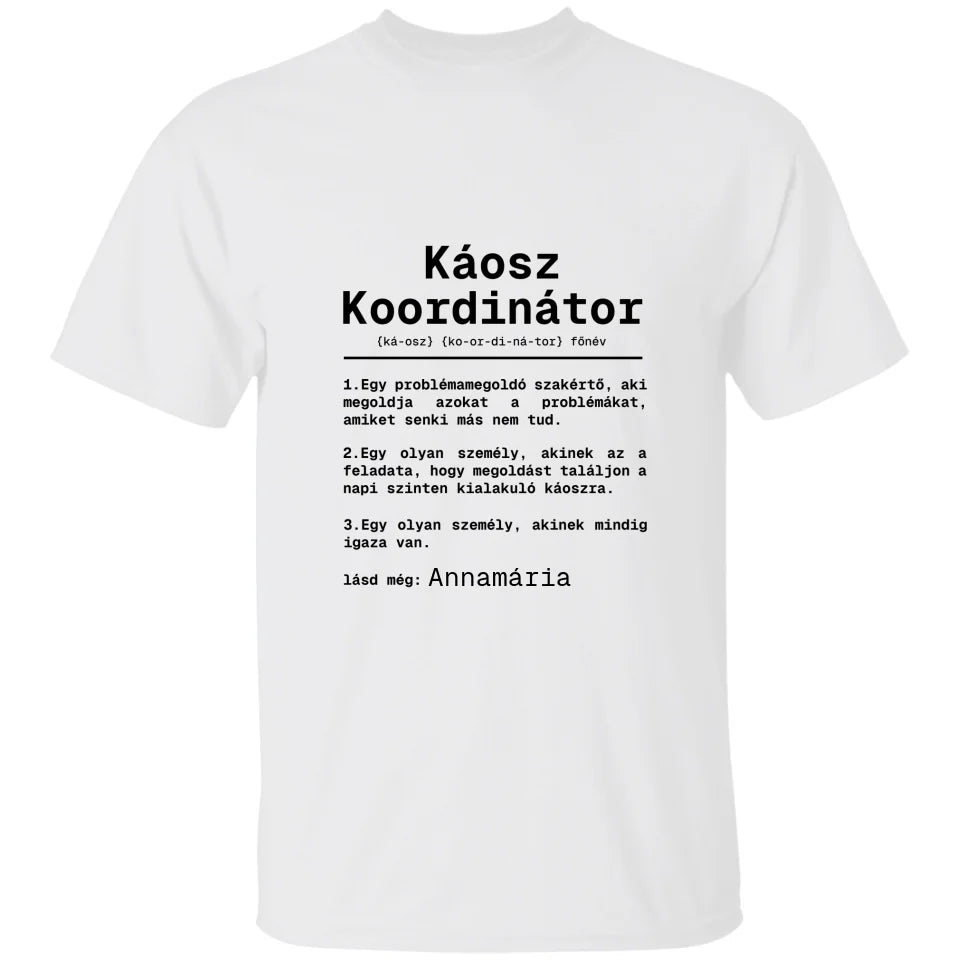 Káosz koordinátor egyedi névvel póló - női, férfi