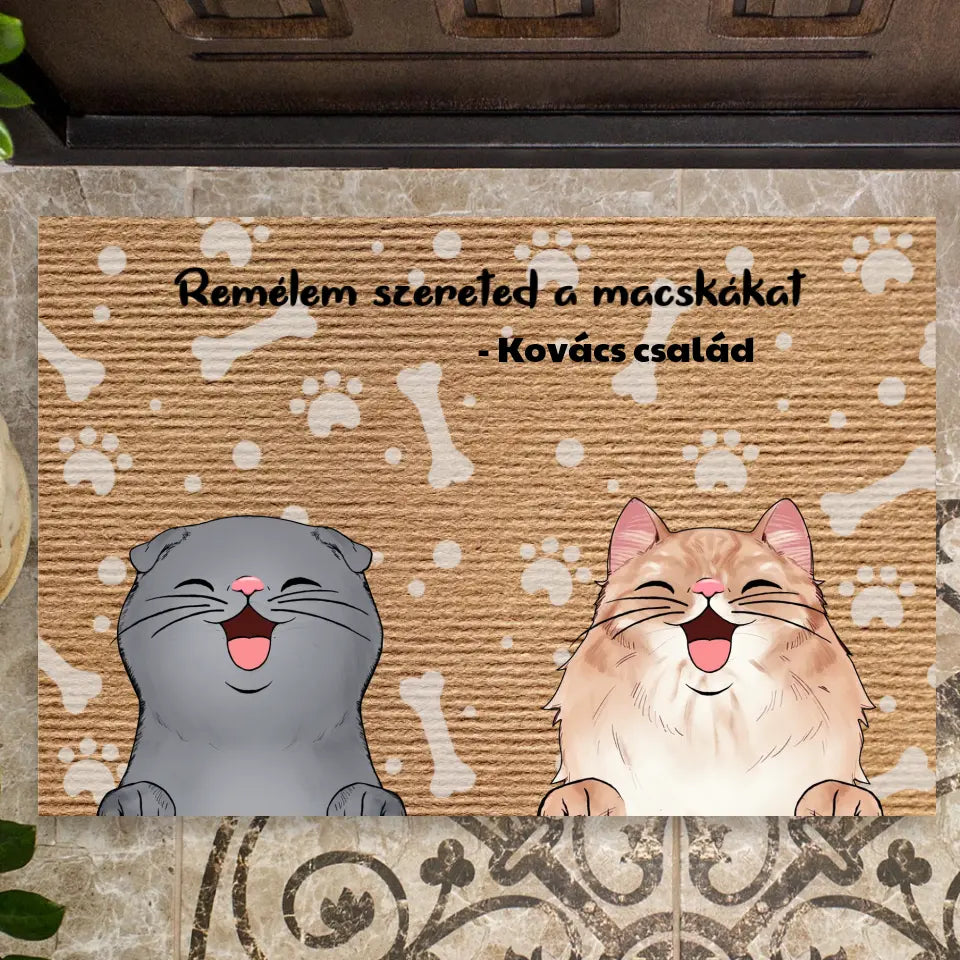 Remélem szereted a macskákat egyedi lábtörlő - macskával és kutyával